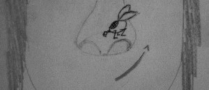 Una Mosca en mi tejado.