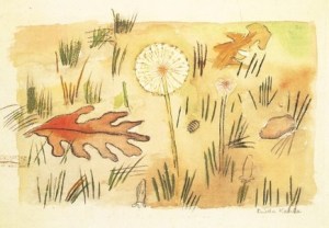 Presumiendo felicidad