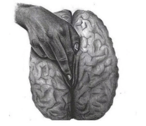 Illustration by Aimée Morales