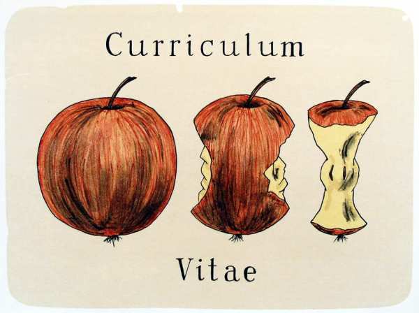 Curriculum Vitae ©Jiri SLIVA, ArtForum / ICZ a.s.